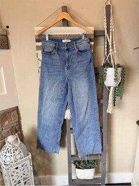 Nori Hidden Los Angeles Wide-Leg Crop Frayed hem Jeans Size 30